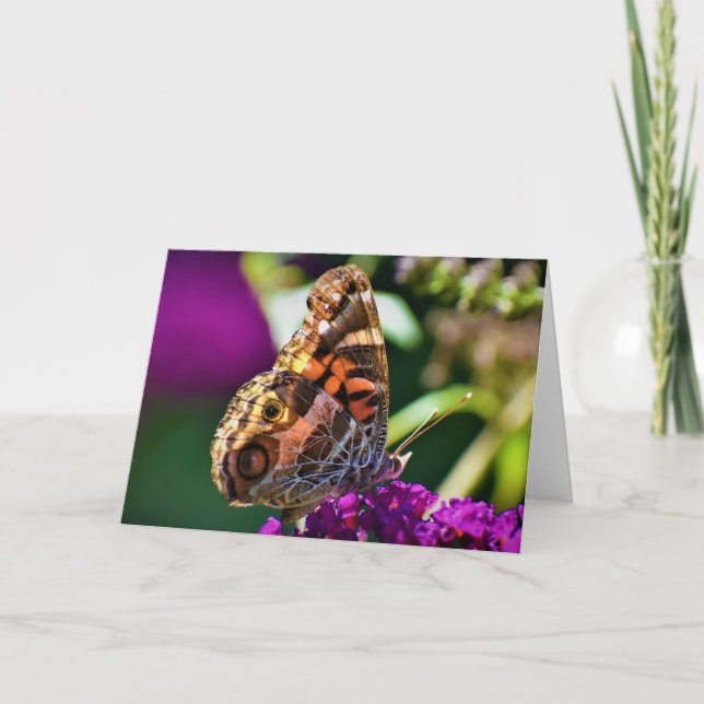 Papillon, carte (Devant)