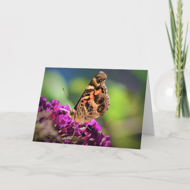 Papillon, carte (Devant)