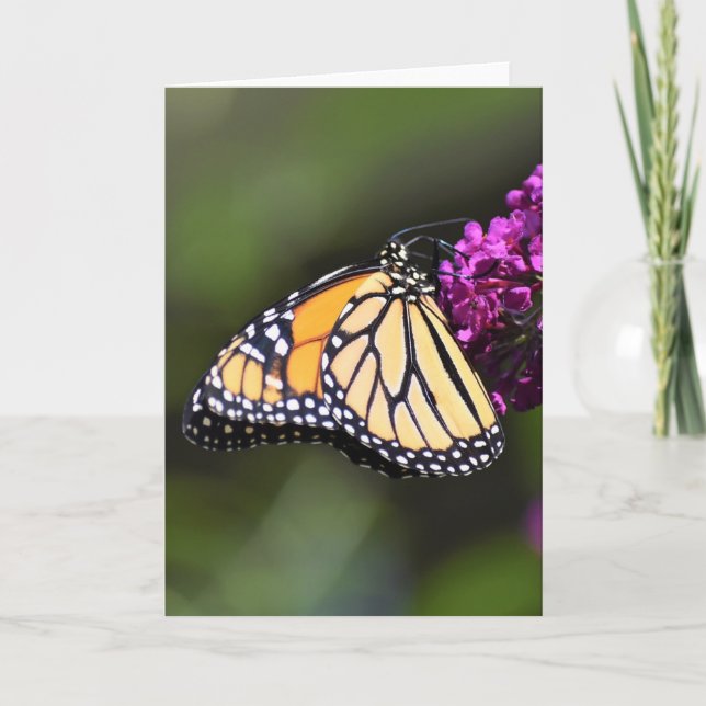 Papillon, carte (Devant)