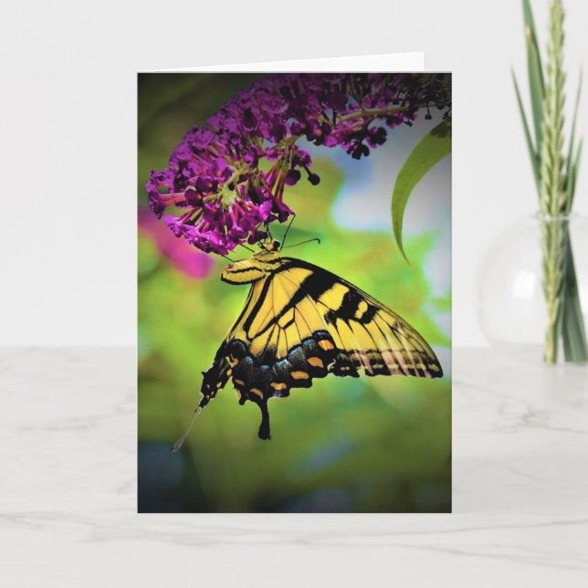 Papillon, carte (Devant)