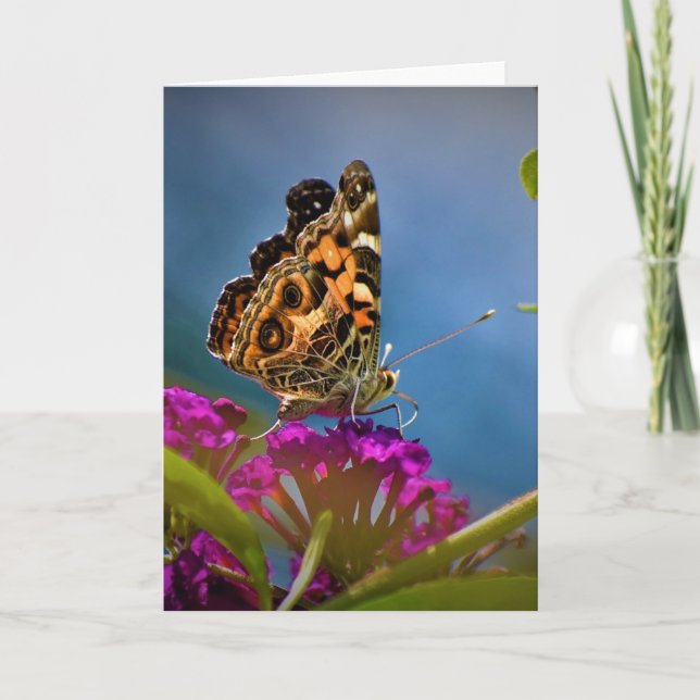 Papillon, carte (Devant)