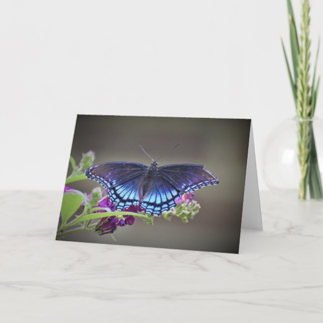 Papillon, carte (Devant)