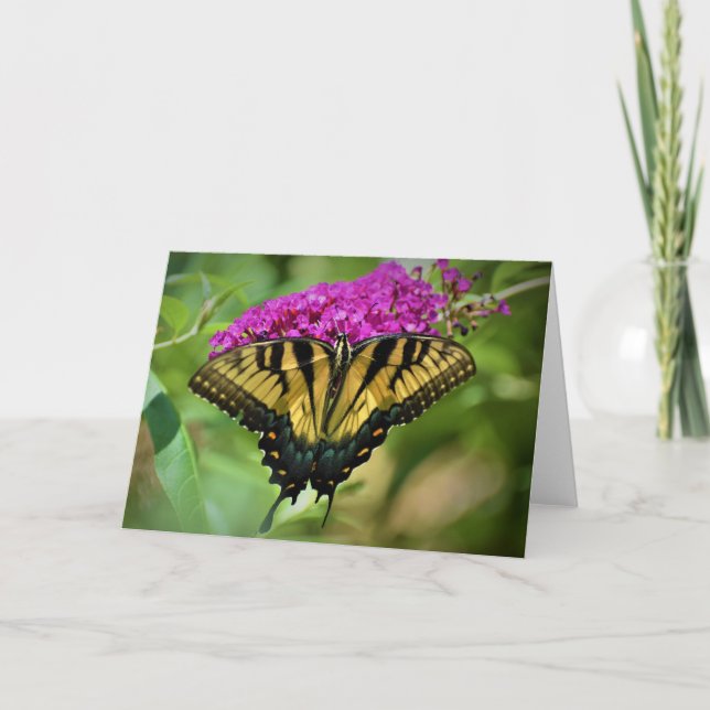 Papillon, carte (Devant)