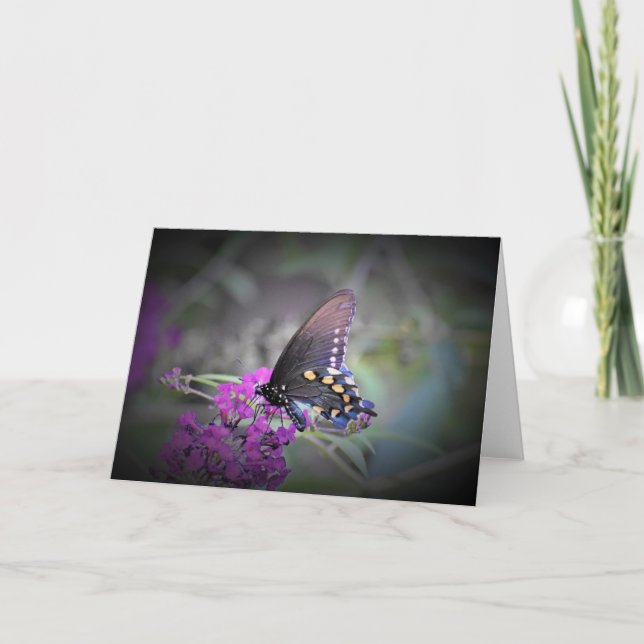 Papillon, carte (Devant)
