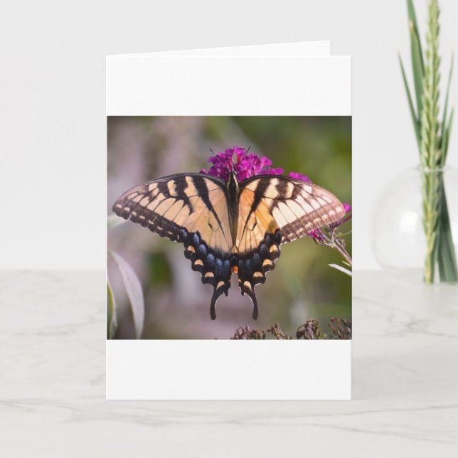 Papillon, carte (Devant)