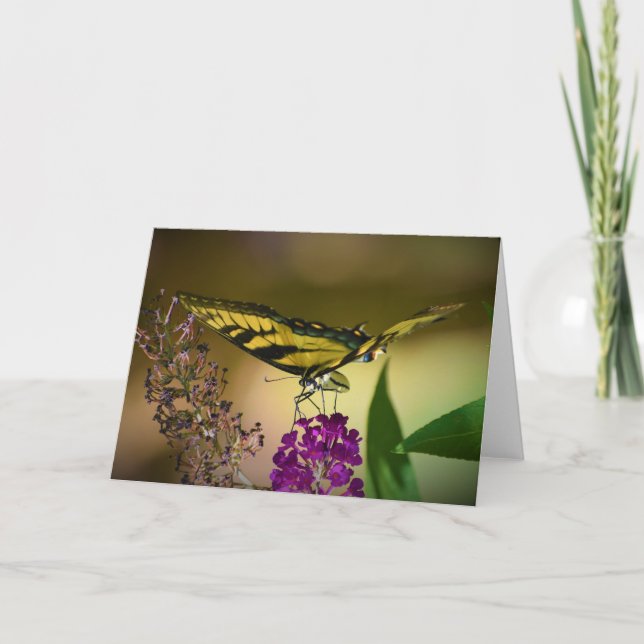 Papillon, carte (Devant)