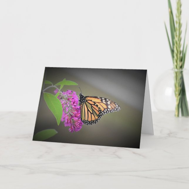 Papillon, carte (Devant)