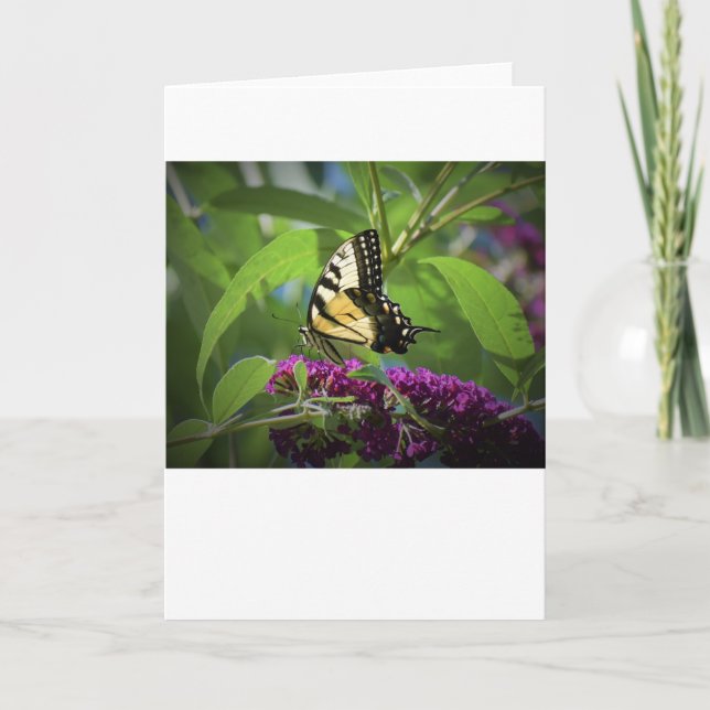 Papillon, carte (Devant)