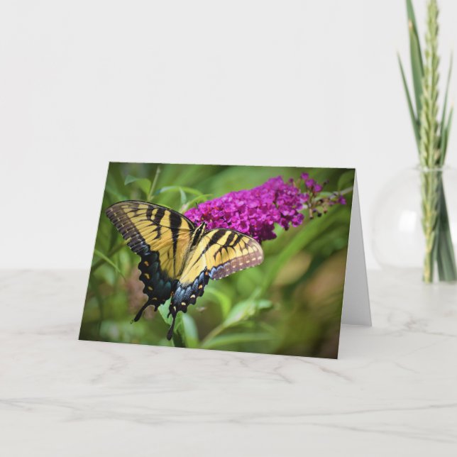 Papillon, carte (Devant)