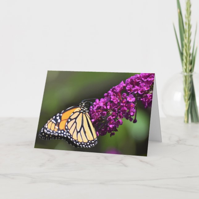 Papillon, carte (Devant)
