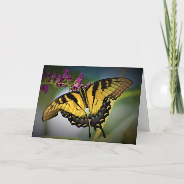 Papillon, carte (Devant)