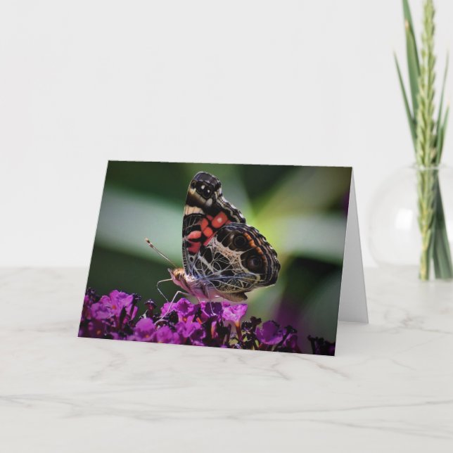 Papillon, carte (Devant)