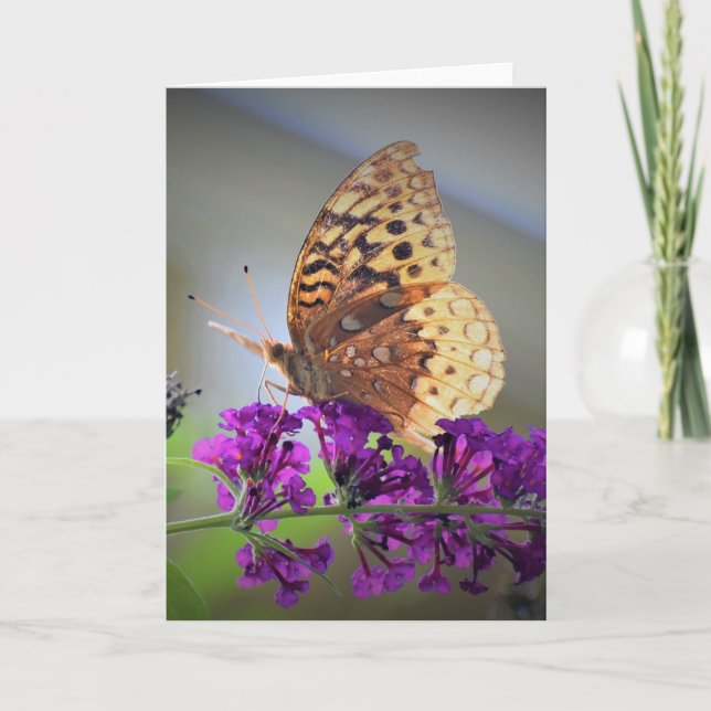 Papillon, carte (Devant)