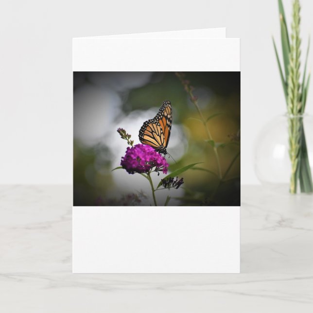 Papillon, carte (Devant)