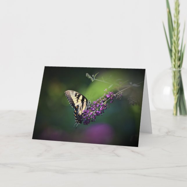 Papillon, carte (Devant)