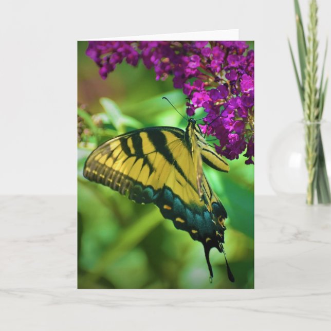 Papillon, carte (Devant)