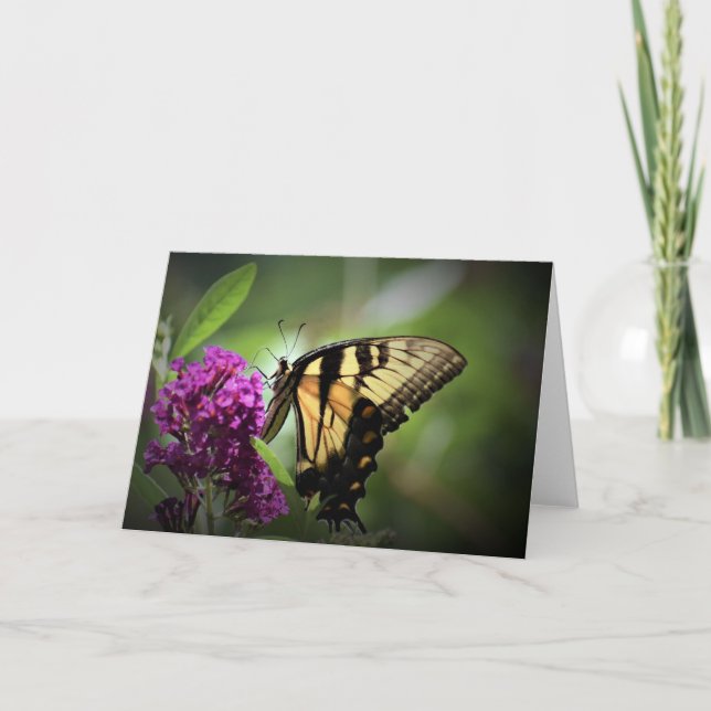Papillon, carte (Devant)