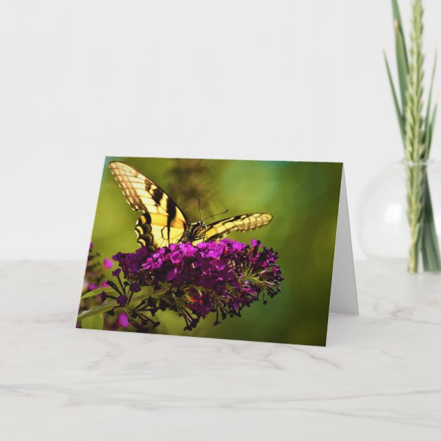 Papillon, carte (Devant)