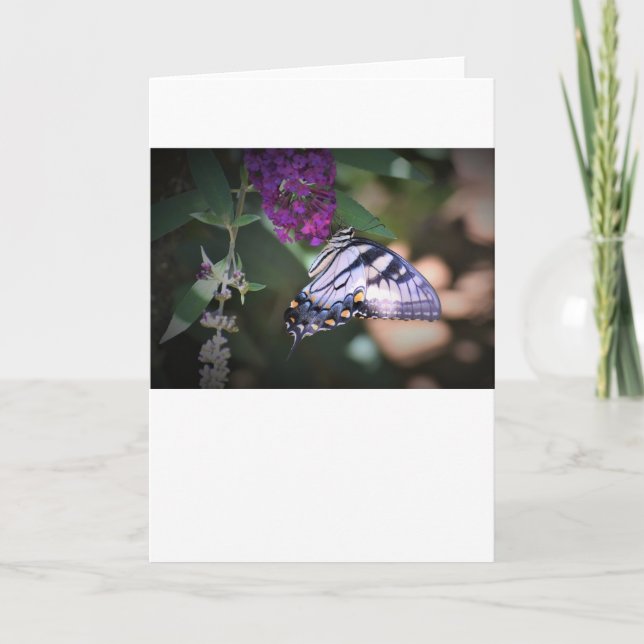 Papillon, carte (Devant)