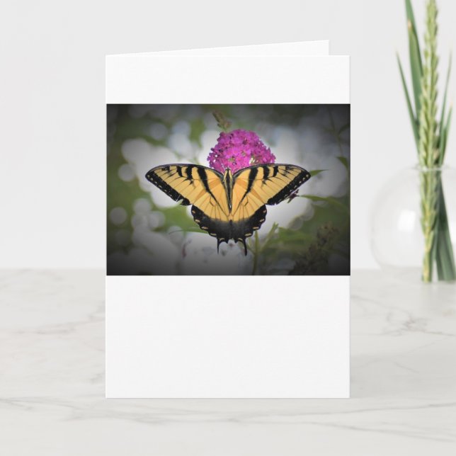 Papillon, carte (Devant)