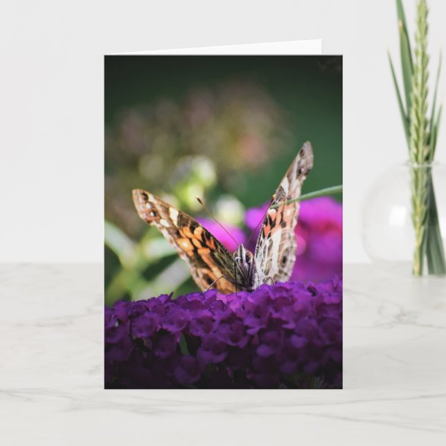 Papillon, carte (Devant)