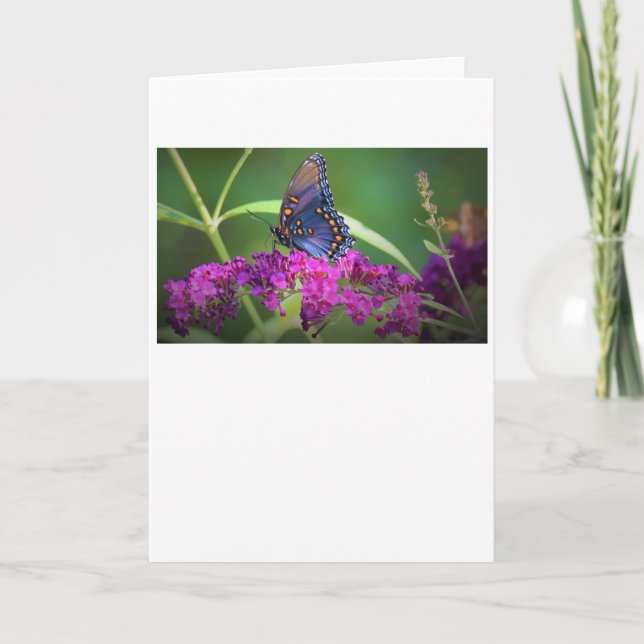 Papillon, carte (Devant)