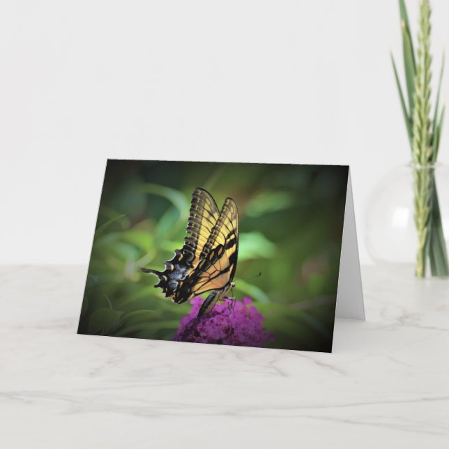 Papillon, carte (Devant)