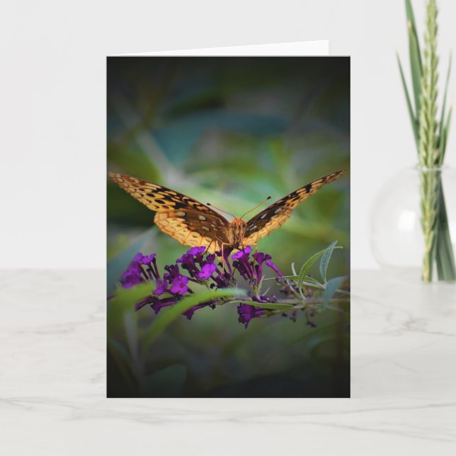 Papillon, carte (Devant)