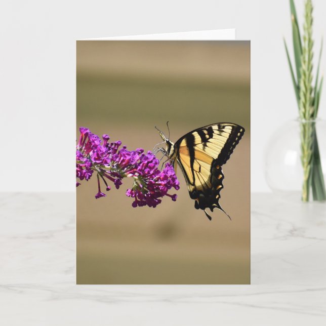 Papillon, carte (Devant)