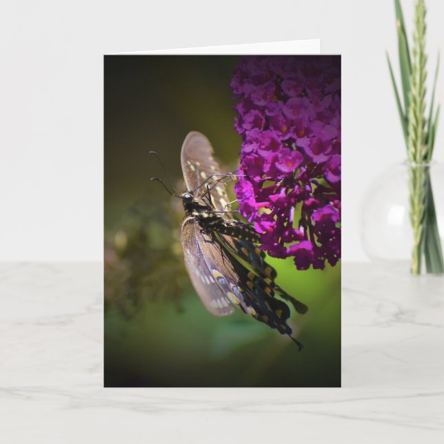 Papillon, carte (Devant)