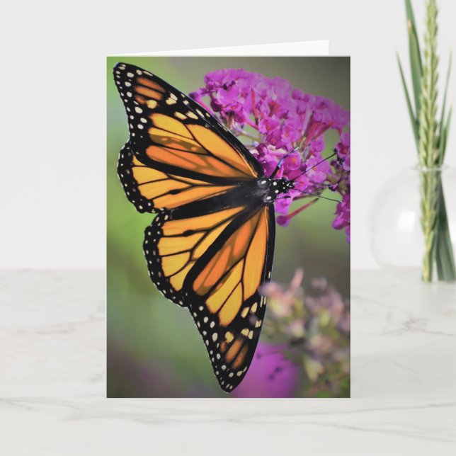 Papillon, carte (Devant)