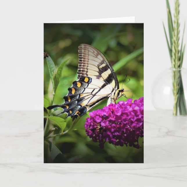 Papillon, carte (Devant)