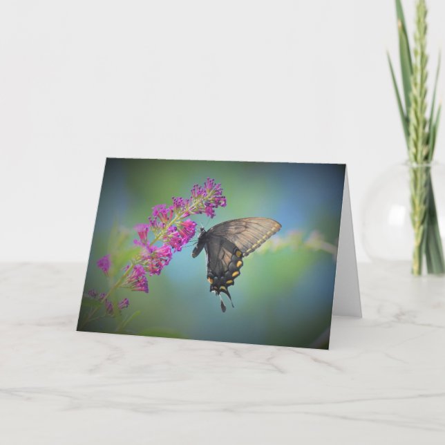 Papillon, carte (Devant)