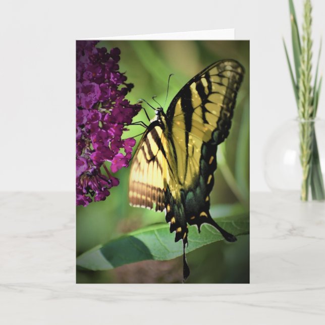 Papillon, carte (Devant)