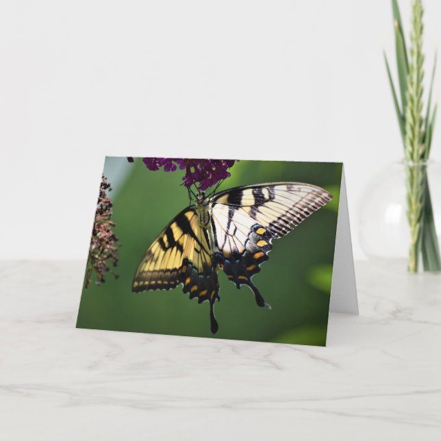 Papillon, carte (Devant)