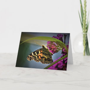 Papillon, carte
