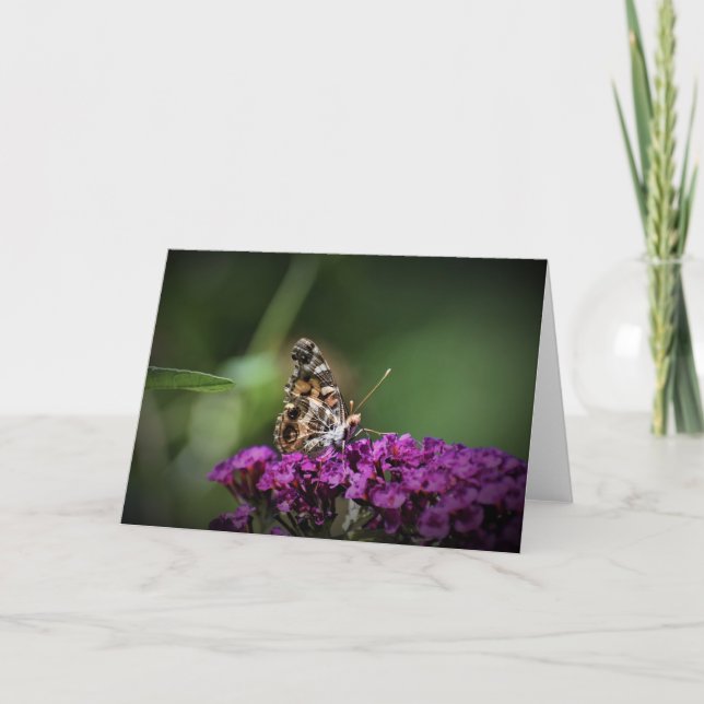Papillon, carte (Devant)