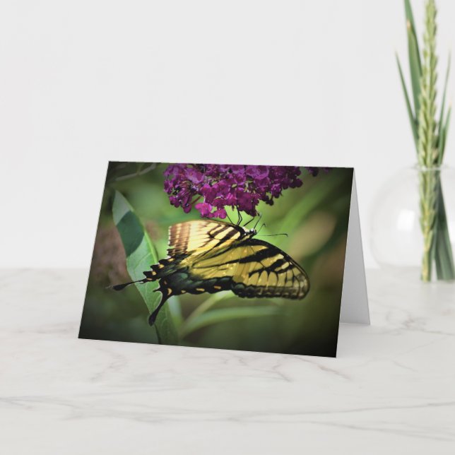 Papillon, carte (Devant)