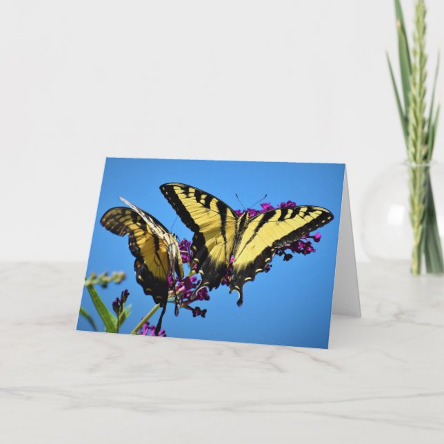Papillon, carte (Devant)