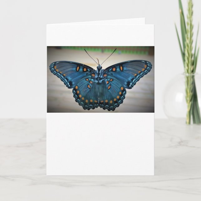 Papillon, carte (Devant)