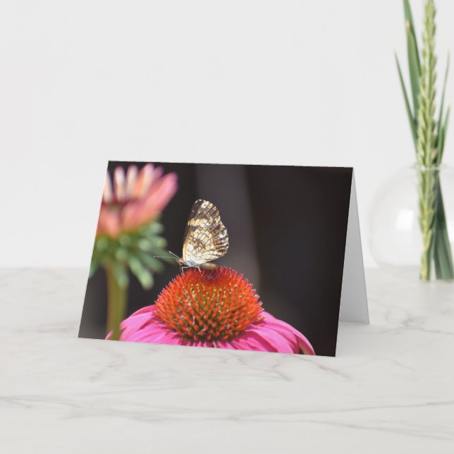 Papillon, carte (Devant)
