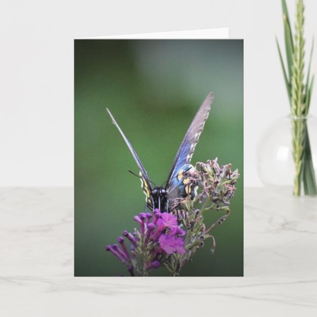 Papillon, carte (Devant)