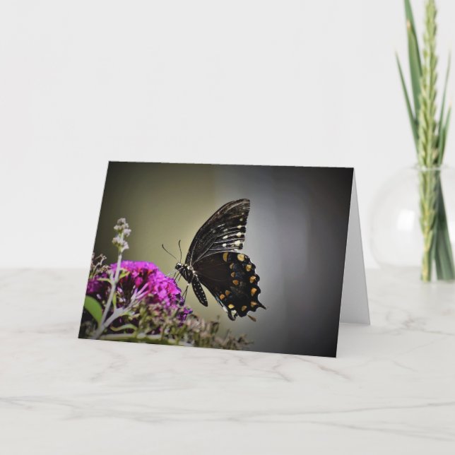 Papillon, carte (Devant)