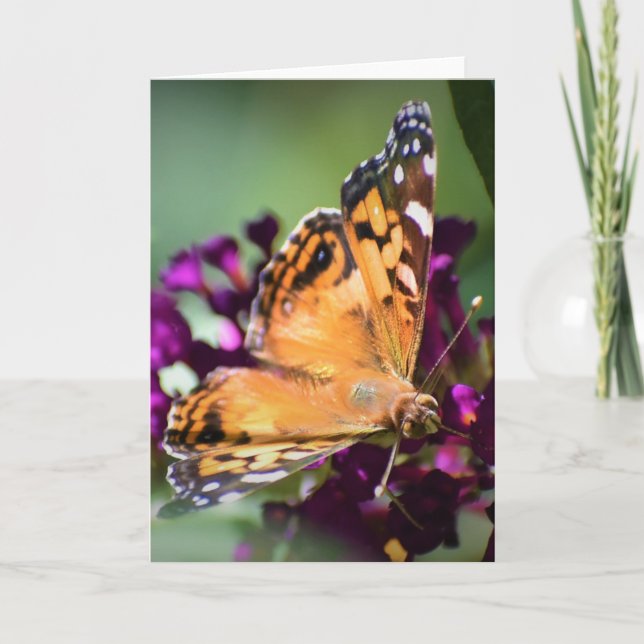 Papillon, carte (Devant)
