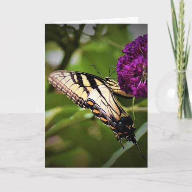 Papillon, carte (Devant)