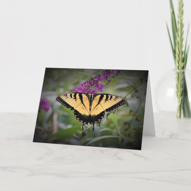 Papillon, carte (Devant)