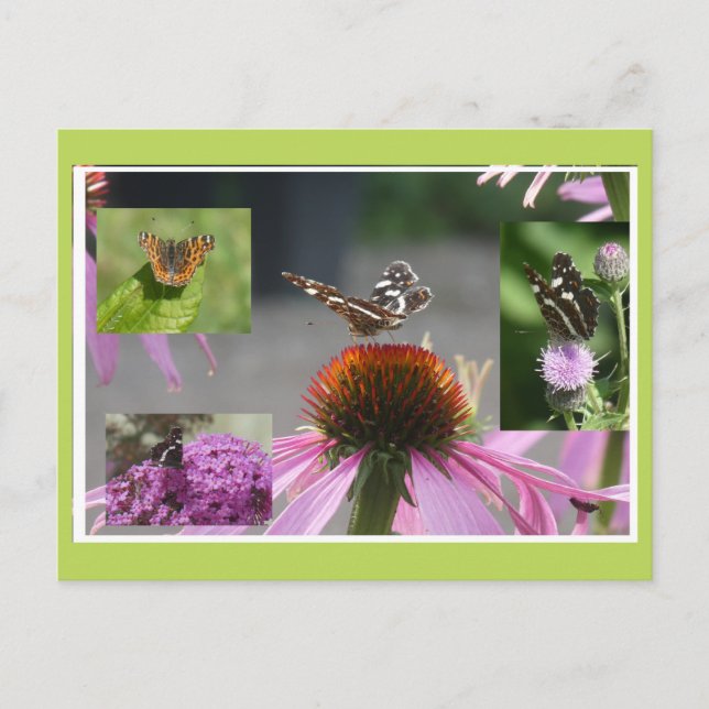 Papillon carte géographique Collage DIY Carte post (Devant)