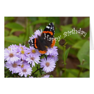 Papillon d'amiral rouge