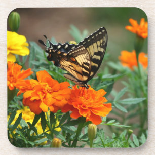 Papillon dans l'ensemble de dessous de verre de