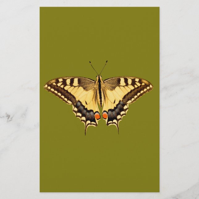 Papillon dansant (Devant)